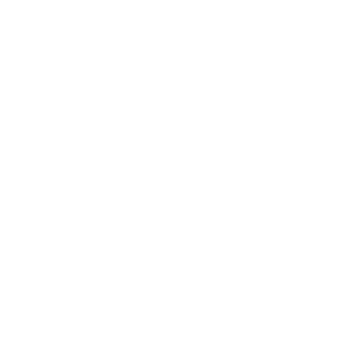 Security Icon