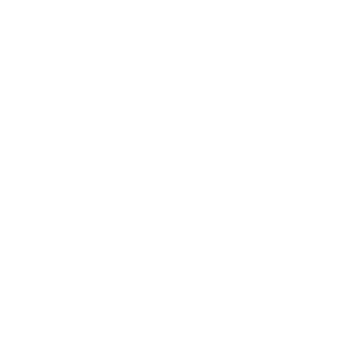 Performance Icon