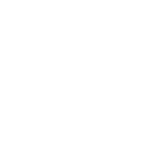 Software Icon