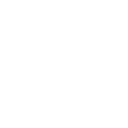 Network Icon